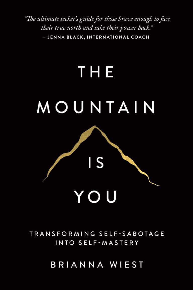 The Mountain Is you by Brianna Wiest Book Cover