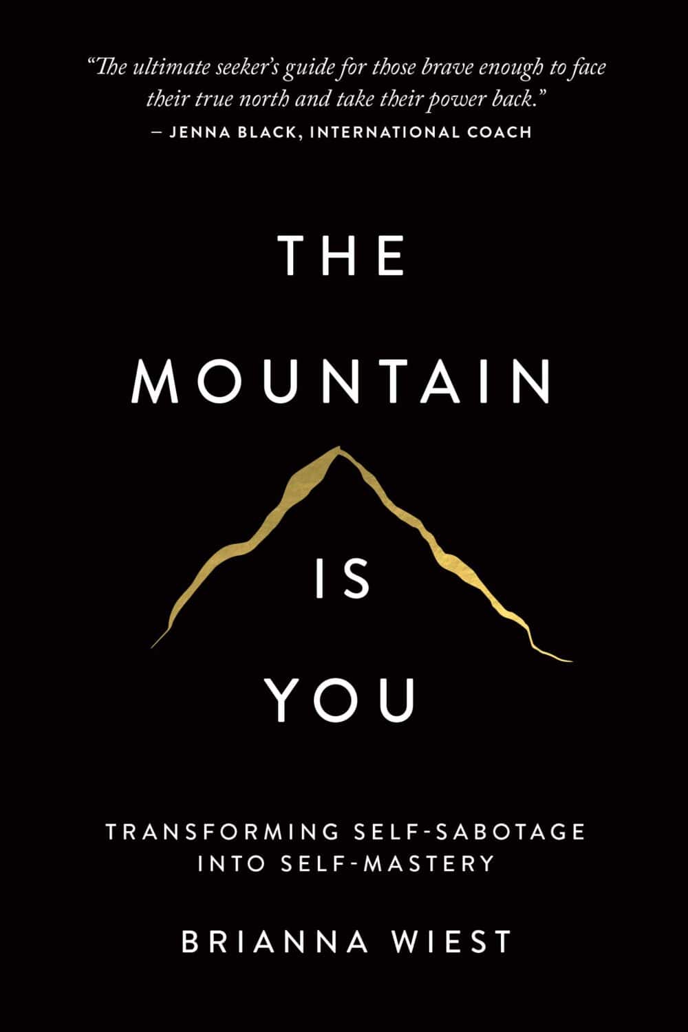 The Mountain Is you by Brianna Wiest Book Cover